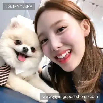 许禄仲